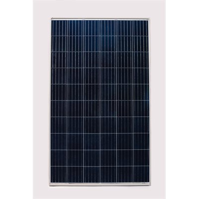 Panneau solaire 275W polycristallin RenewSys