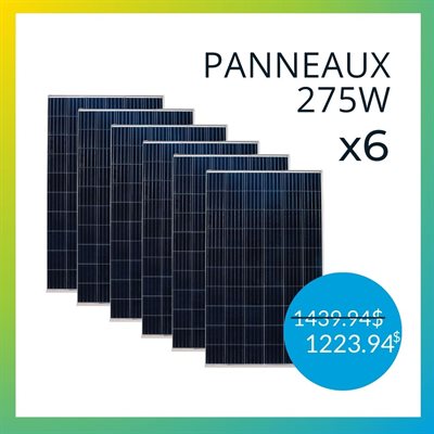Panneau solaire 275W polycristallin RenewSys (x6)