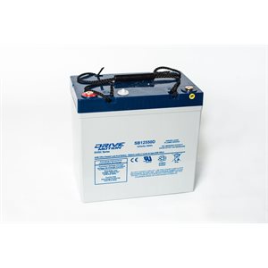 Batterie DriveMotion SB12550D